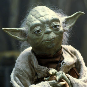 master_yoda