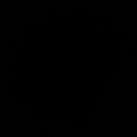 Calo3