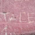 Trajce