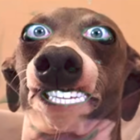 autoli
