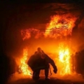 firewatts24