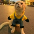lixiaoxiang00
