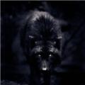 SavageWolf