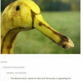 eslagetheobnoxious