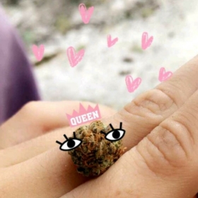 bubblegum105