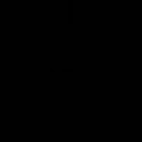 pxy19