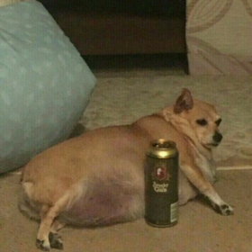 Rohn7