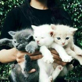 garima_singh