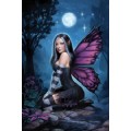 fairyfly