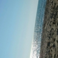 eral21