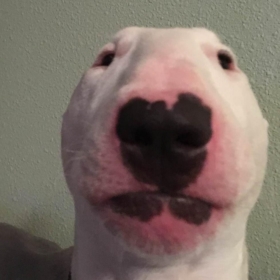 jeffjeffjeffjeffjeff