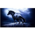 TheDarkHorse