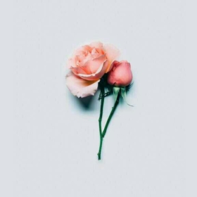 sdcfdnl