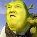 Sikis431