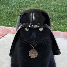 CatVader