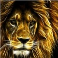 Aragotix