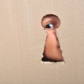 laika69