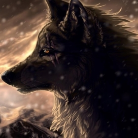 Thewolfmate