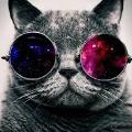 MidnightBlue123