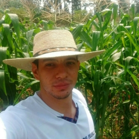 pepito9331