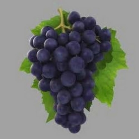 bluegrape