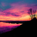 annaboyd333