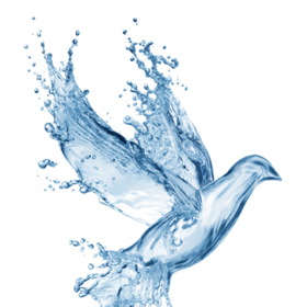 Water7