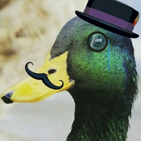 Mrduck