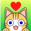 Haliedaisy1