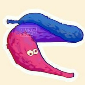 BiWorm