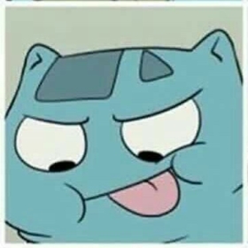 bulbbapet