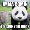PandaHug