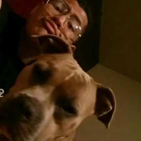 im_the_dog