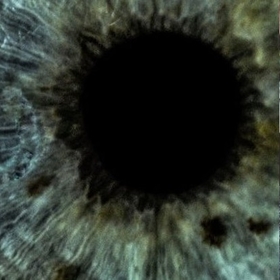 Brutal_honesty_truth