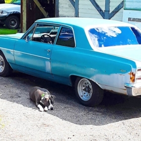 64chevellegirl