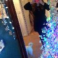 littlebrxwnfox