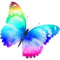spreadingmywings