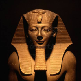 Zitooo