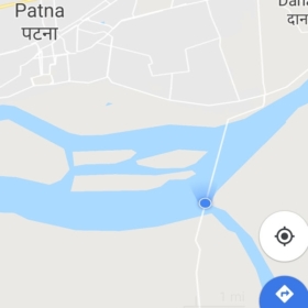 dzann