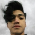 NikDan