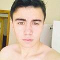 Paullucafalcon
