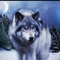 Celticwolf78