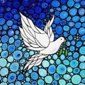 Discombobulated_Dove