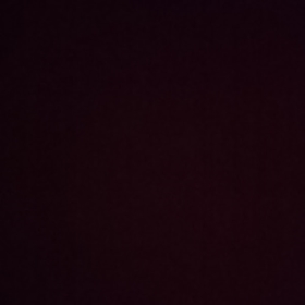 PollieNL