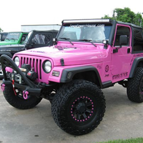 PinkLily96