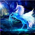 CristalUnicorn