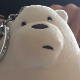 NotIceBear