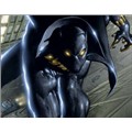 TheBlackPanther