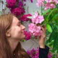 Julianaqwert