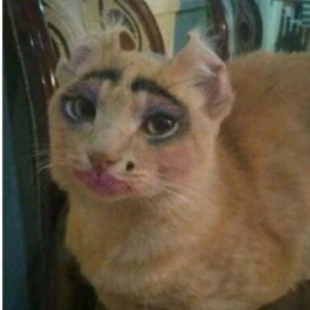 ohmii